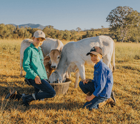 two-boys-with-cows